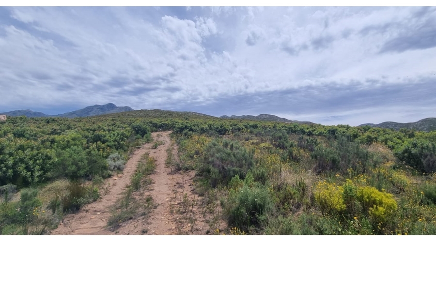 0 Bedroom Property for Sale in Uniondale Rural Western Cape